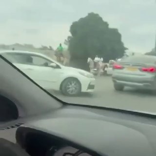 ‼ מתנחלי נגב בדרום השטחים הכבושים הולכים להצביע עם גמלים, סוסים וחמורים. ‼ מתיישבי הנגב בדרום השטחים הכבושי…