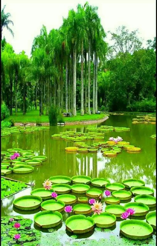 مرکز مشاوره دانشجویی خاوران: 💌🌱 #پیام_مشاور 🌱 💌 این دو متن کوتاهارزش صد بار خوندن داره!⚘️✨ از دیگران شکایت نمیکنمبلکه خودم را تغییر میدهم،چرا که کفش