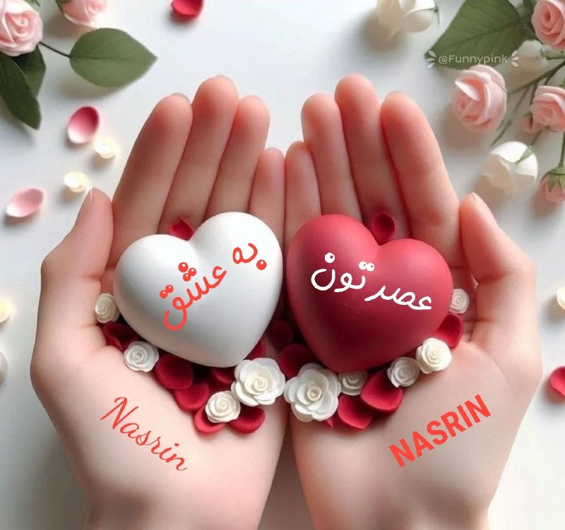 کانال عاشقانه های مینوووو❤️❤️(عشق ودوستی): این روزها که بی‌رحمی عادت شدهمهربان بودن یک انتخابه...یاد بگیریم دوستی حرمت داره نه منفعتپاک و بی‌ریا دوست بداریمدنیا به