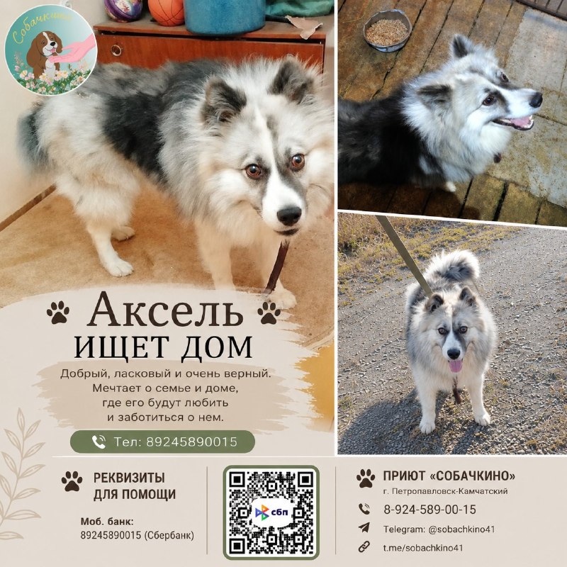 @help_animal41 posted a photo