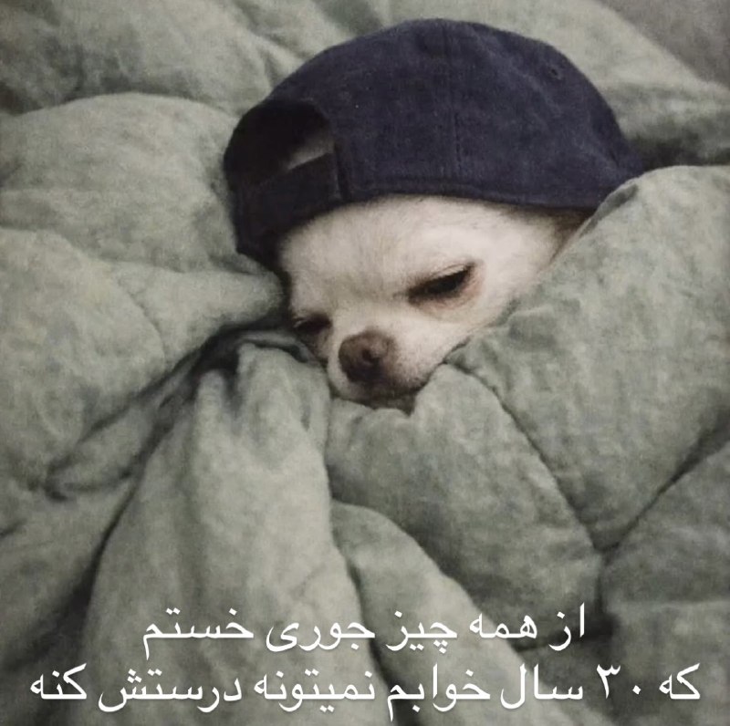 [ احمق … ]: شب بخیر 💔@ahmaq #Lasso