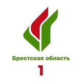 Брест. Партия «Белая Русь»