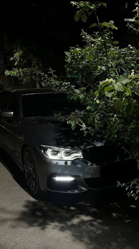 https://t.me/bmw_mpower_club