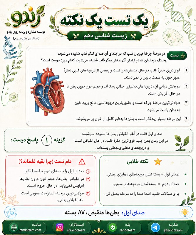 مشاوره کنکور رندو | سروش جباری: ✅ یک تست یک نکته از زیست دهم🔺#تست_نکته_زیست_رندو📱 @Randoteam