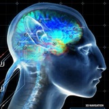 Архив Biology of Pandora