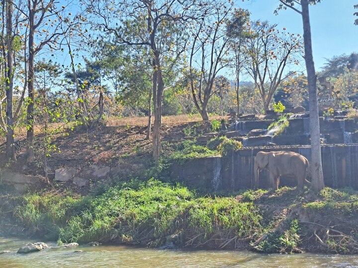 【(泰國)清邁府全攻略~八版 〥】〜〆冬季的因他儂│大象、竹筏漂流