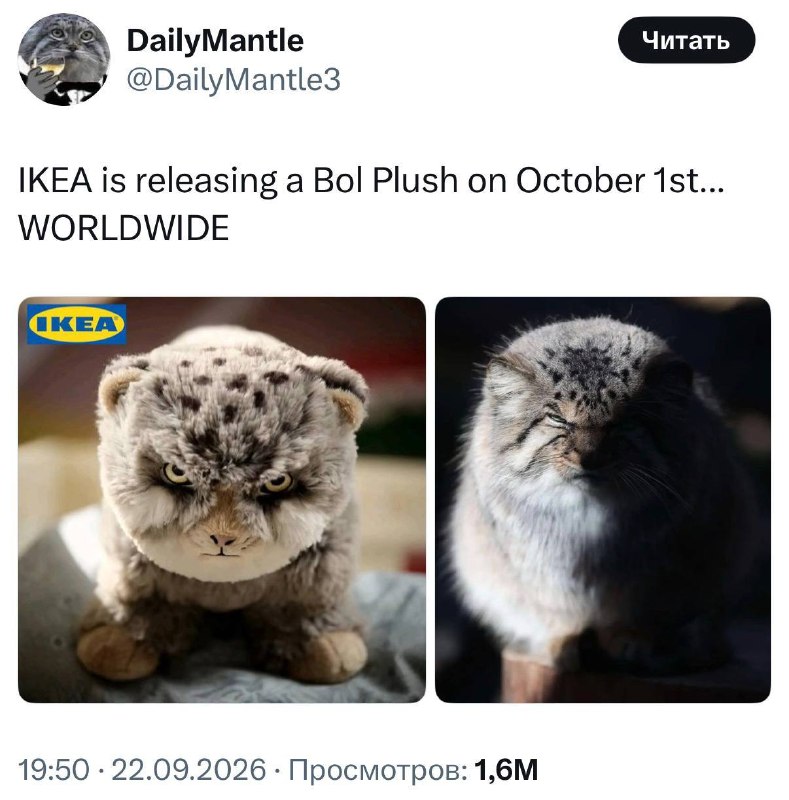 Иллюстрация к посту канала WOW Реклама | Маркетинг
