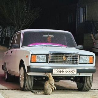 ⇝ 𝙲𝙰𝙻İ𝙵𝙾𝚁𝙽İ𝙰 𝙲𝙷𝙰𝚃 ⇜