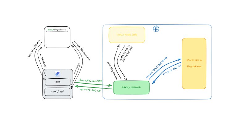 是什么，为什么，怎么做 —— 谈谈 DNS 泄漏、CDN 访问优化与 Fake IP2001 年 4 月 IETF 通过的 RFC3089 中所描述的 Fake IP，是四层代理分流场景下 性能相对最佳、体验相对最好、实现相对最简单的「最佳实践」
