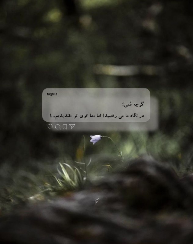 مشهد آنلاین: گرچه غَمى؛در نگاه ما مى رقصيد؛ اما ،ما قوى تر خنديديم...!شب بخیر❤️‍🩹📣 اخبار #مشهد در #مشهدآنلاين🆔@Mashad_Online