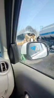 מאתר הצתת כלי הרכב בנמל עבדאלי כוויתי