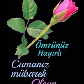B.T.C BİLGİ GRUBU