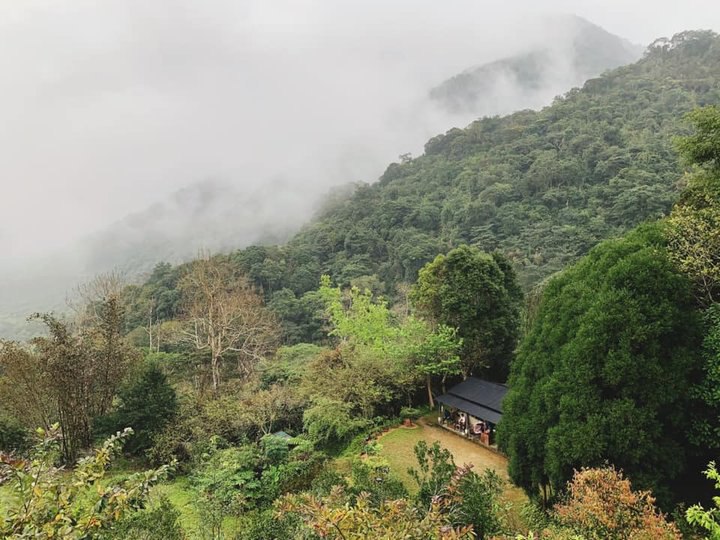 與世隔絕的山林部落-大禮部落