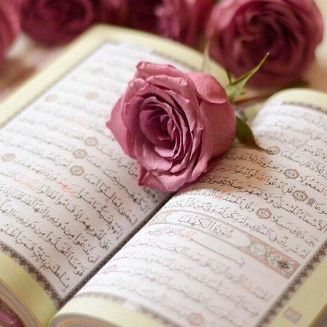 ختم قران: ۞فَاقْرَءُوا مَا تَيَسَّرَ مِنَ الْقُرْآنِ۞«هر قدر می توانید از قرآن بخوانید»‏➖➖➖➖➖➖🌹ختم صفحات جزء ۲۳🌹‏➖➖➖➖➖➖مشارکت کنند