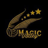 Magic volley