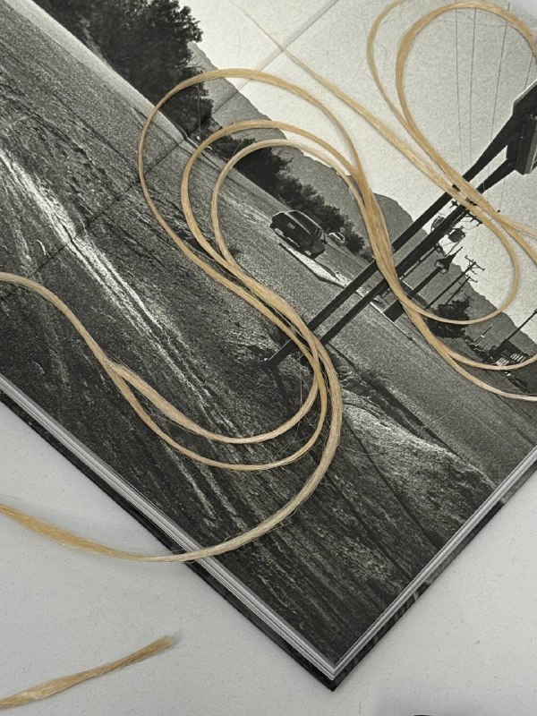 Живые. Воинственные. Женщины. Сняли творчество, с большой командой, с одними из лучших.Живые. Воинственные. Женщины. Сняли творчество, с большой командой, с одними из лучших.