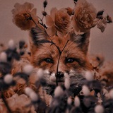 Ꮮisixiᴀw