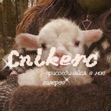 |🍂|•Cnikerc