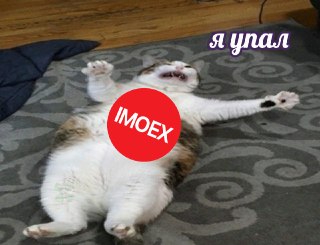 Индекс Мосбиржи (IMOEX) упал до минимума с сентября 2022 года. По итогам сегодняшней сессии он снизился на 4,24% — до 2022,27 пунктов, пишет РБК.Как отмечает издание, основными причинами падения эксперты считают «отсутствие позитивных изменений на геополит