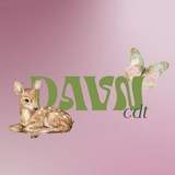 DAVN