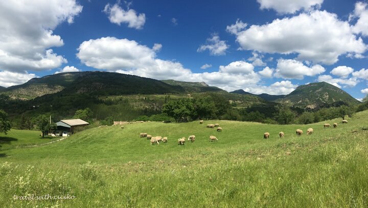 【歐洲打工換宿】從斯洛伐克到捷克