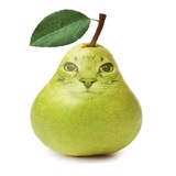 Домик Травы💚