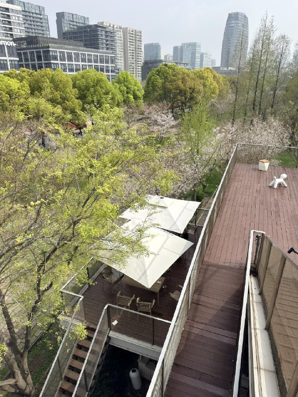 上海西岸的樱花林manner coffee 实在太高级了上海西岸的樱花林manner coffee 实在太高级了