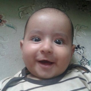 Mexico Telegram Group Link