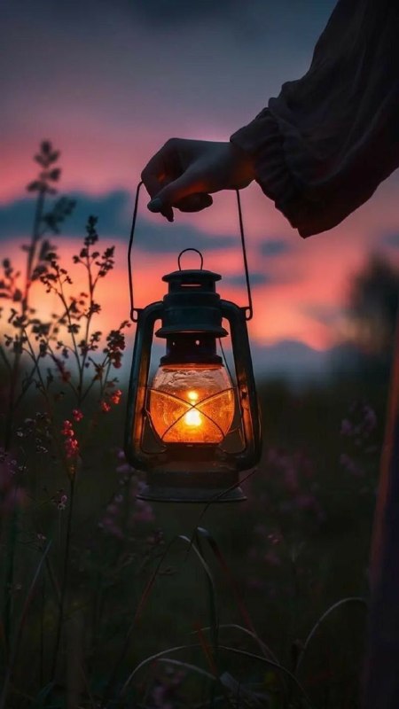 هزاوه تلگرام: شب زیباتون متبرک به گرمی نگاه خدا ...شبتون آروم در پناه نگاه مهربان پروردگار🌷🌷🌷@hezavegram #هزاوه_روستا_امیرکبیر_قائم_مق