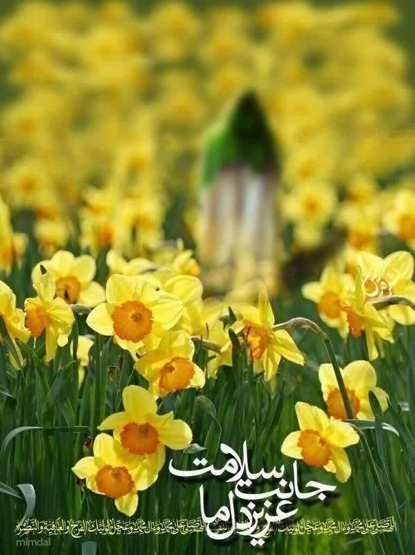 تهران نیوز: #سلام_امام_زمانم♥️ماه من آجرک الله بقیه اللهآقا نمیایی؟ بیاجان آقا امام حسین (ع) بیاتا دلمون آروم بگیره فقط بیا وقتی سلا