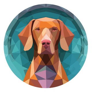 Hungarian Vizsla Inu & VizslaSwap Official Chat
