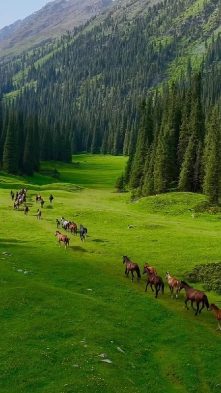 𝐇𝐲𝐛𝐫𝐢𝐝 𝐖𝐚𝐫𝐟𝐚𝐫𝐞 𝐒𝐭𝐮𝐝𝐢𝐞𝐬🇮🇷: 🔻سلام. صبح‌تون به‌خیر.روز خوبی داشته باشید.🌹🔍کانال مطالعات جنگ هیبریدی @HybridWarSthttps://eitaa.com/HybridWarSt