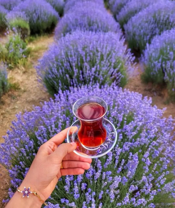 ♡عـشـ ᬸ💞ـق ابــ ᬸᮀ💞ـدی: ☕️ چاے زندگیتون همیشہ تازہ دم☕️ دلتون گرم و جمع تون جمع☕️ دور و برتون پر از عطر لبخند☕️ پراز دلخوشے وامید وشادی☕️ عصر زی