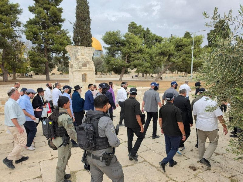 עקבו אחרי סאפא| שר הכיבוש לביטחון לאומי, איתמר בן גביר, מסתער על חצרות מסגד אל-אקצא המבורך בתוך מאבטח כבד.