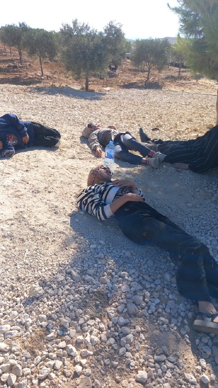 דחוף: מתנחלים תוקפים את משפחתו של איברהים איסמעיל אל-ג'בור באמצעות הכאתם וריסוס גז פלפל באזור חווארה, מזרחי…