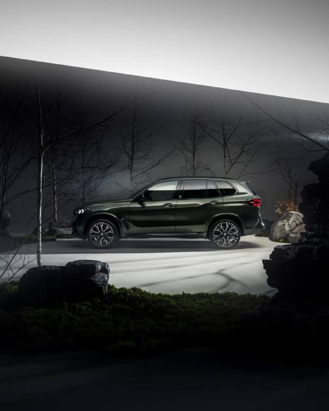 BMW X5M F95