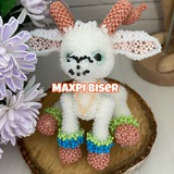 MaxPi biser🌷