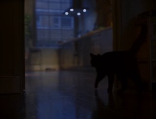 广告_Pinterest 剧情短片：勇敢的人先享受爱情无法说出口的爱会成为永远的遗憾，情感表达障碍正在成为现代人建立关系的一大「诅咒」。 Pinterest 鼓励人们勇敢地面对面交流，停止无意义的内耗。这支短片通过第一人称视角，采用声音和画面两条不同的叙事线索，积累观众的紧张感和好奇心，女主角卡顿的言语旁白能在短时间内引起强烈的共鸣。结尾「门铃响起」，不安的冷色调也渐渐融化在温暖的愉悦中。 From Sam Pillingvia 开眼