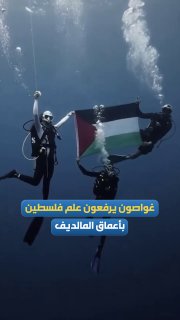 צוות צוללנים הניף את הדגל הפלסטיני מתחת למים של חופי המלדיביים, כדי להעביר מסר של תמיכה וסיוע לעם הפלסטיני…