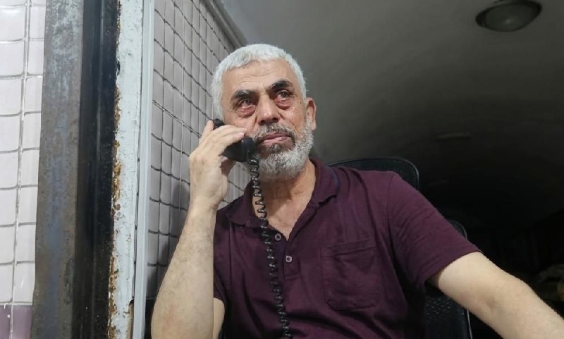 סאפה מיוחדת| הדמעות של "סינואר"... האנושות הכנה שעיצבה מחדש את משוואות ההתנגדות