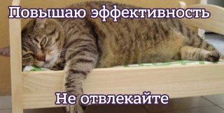 Учёные выяснили, что ничегонеделание полезно для мозга. Тут объясняют, почему праздность является залогом наших рабочих способностей: https://lentach.media/1rKQo