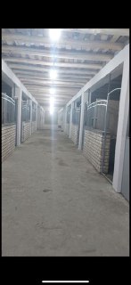 Rancho sotiladi maydoni 50 sotix manej kotaligi 45x45 metr