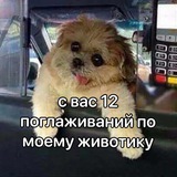 катши барахолит