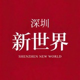 深圳新世界报告（精选报告）