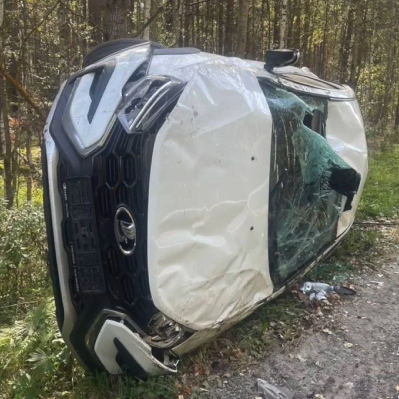 У Lada Vesta заклинило руль на трассе, из-за чего машины вылетела в кювет — подушки безопасности не 