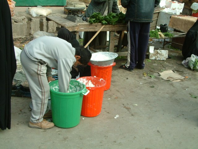marandim: نحوه فروش ماست چکیده بادستان استریل نوجوان کربلائی