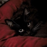 микусёночки,,@