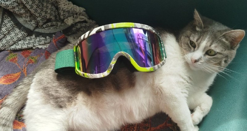 Продам ботинки от сноуборда — фото 1