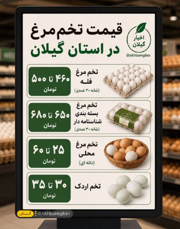 اخبار گیلان: ♦️ امروز تو بازار گیلان چه خبره؟👀🔹جدیدترین قیمتها را هر روز اینجا ببینید.#قیمت_روز@akhbaregilan