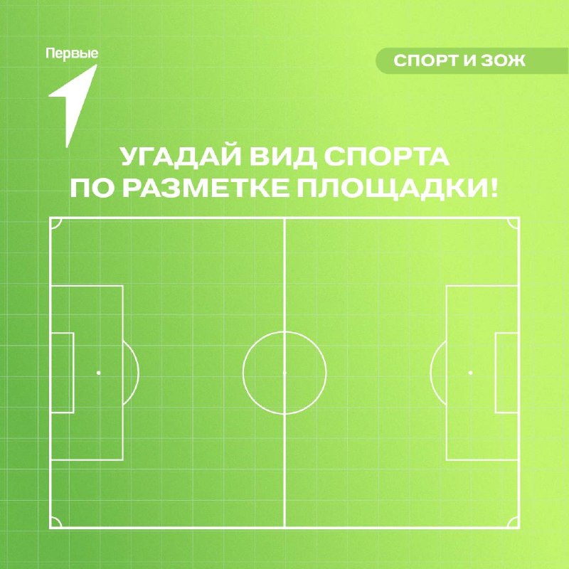 Иллюстрация к посту канала Движение Первых. Спорт и ЗОЖ